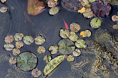 《原神》《明日方舟》成国家文化出口重点项目